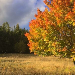 Meet your Posher, Steph
